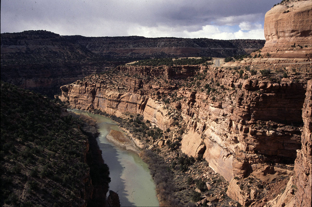 The rock walls of Unaweep Canyon sit above a river with the banks covered in scrubby bushes.
