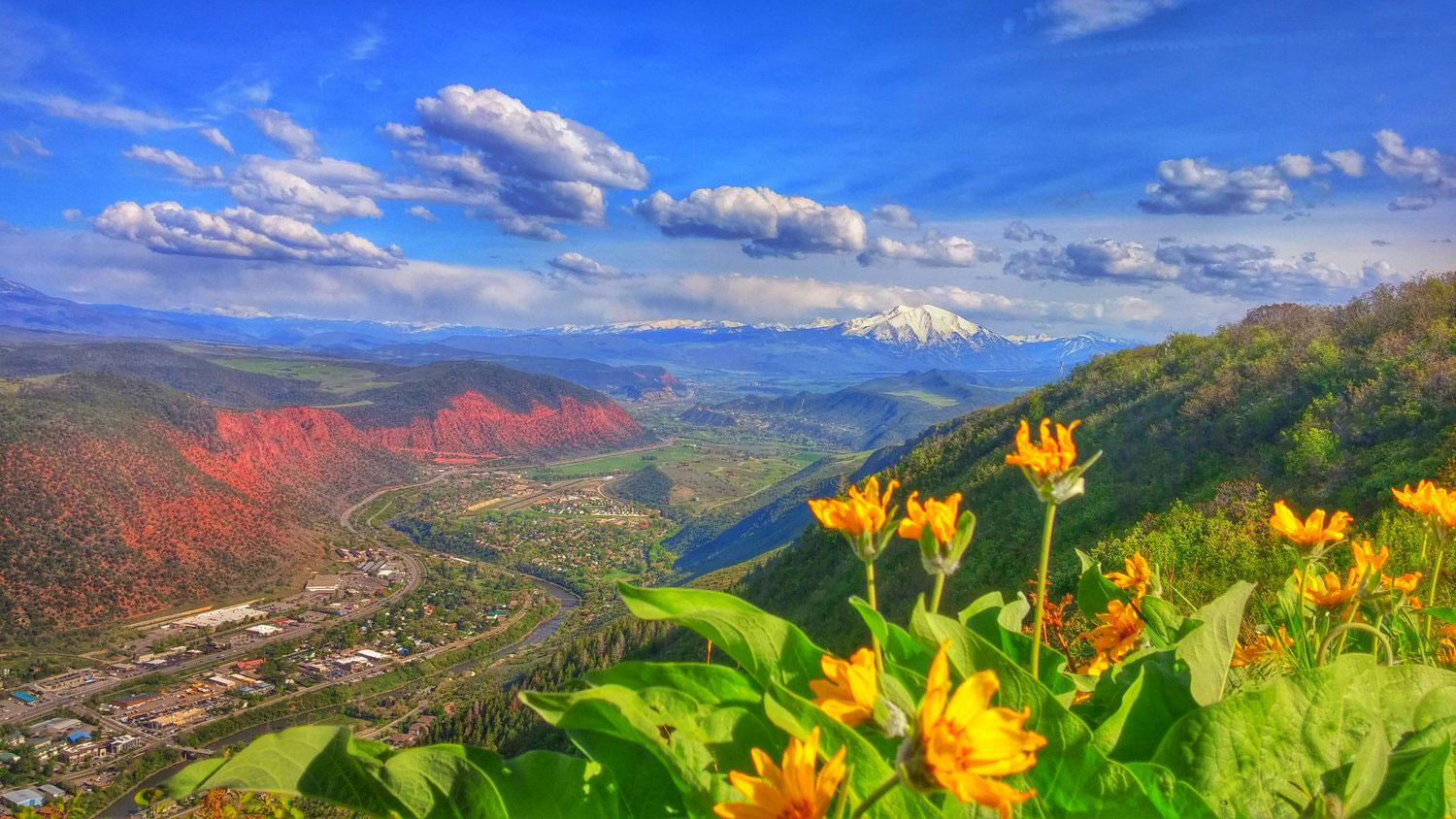 Golden-orange flowers bloom on the side of a mountain in Glenwood Springs, Colorado. Across the valley a pinkish-red mountainside lights up in the sun.