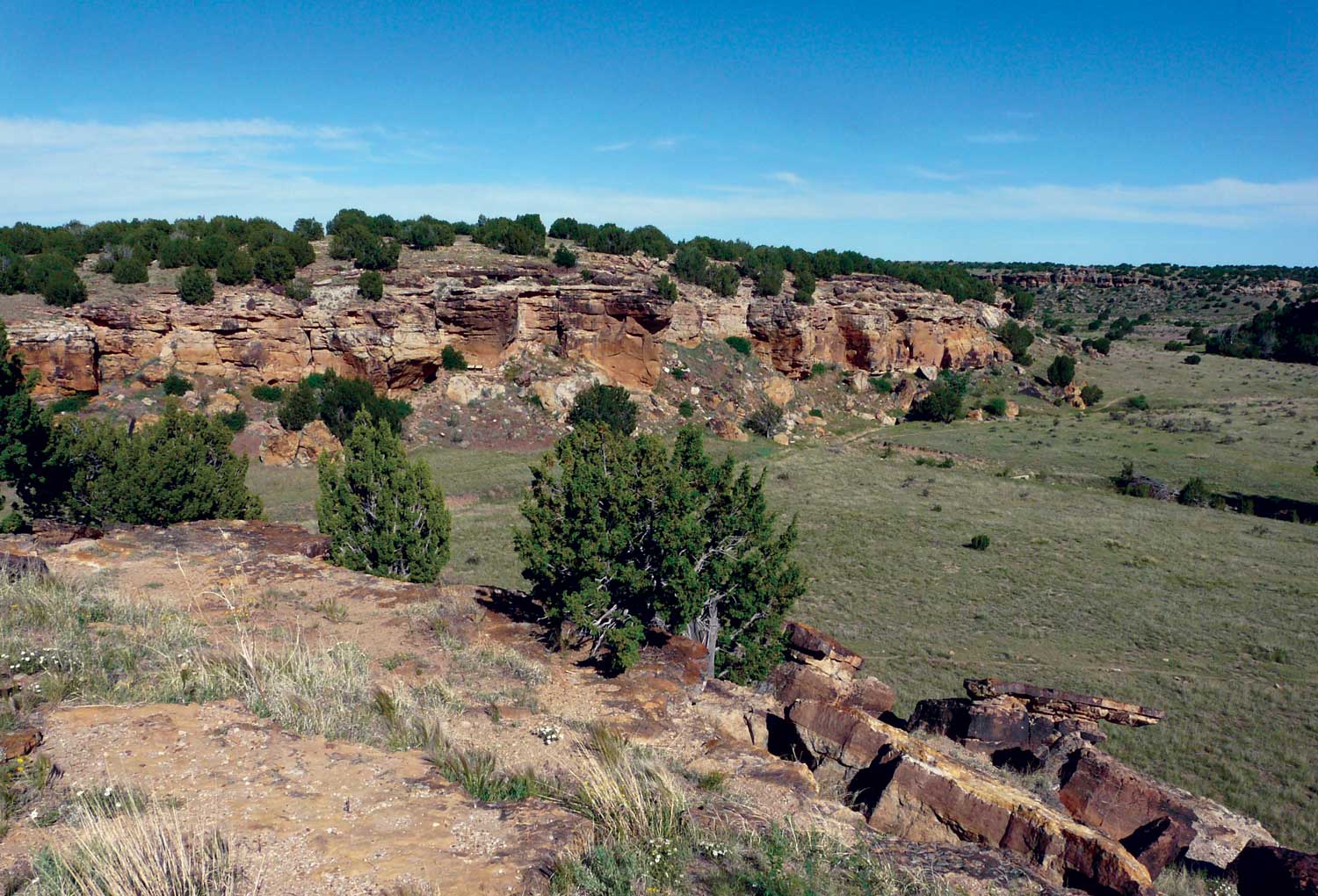 Evergreen shrubs dot the tops of two small canyon sides and overlook the green, grassy valley of Commanche National Grassland in Colorado.