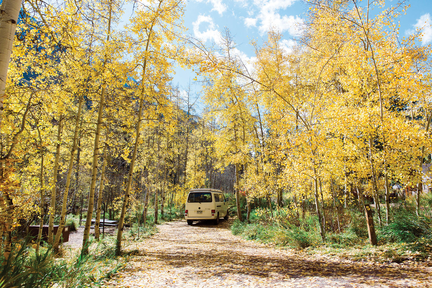 Camper van road trip through golden aspens