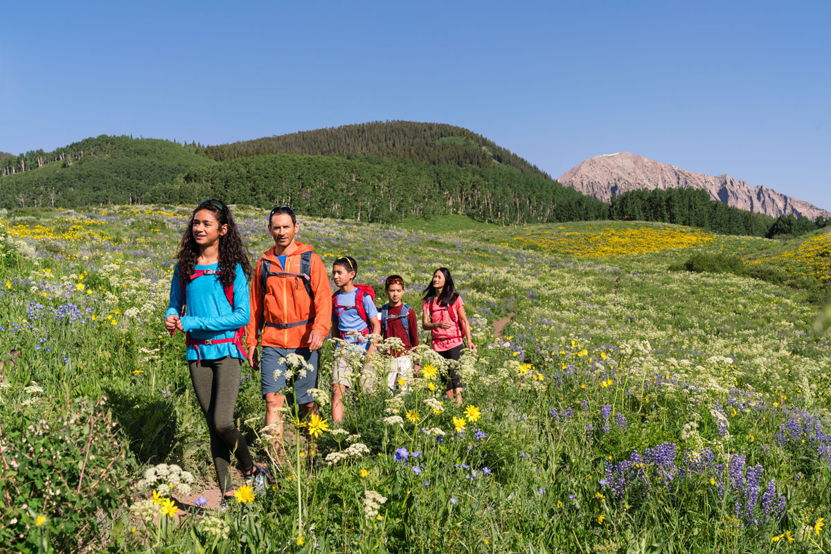 A family of five walks along a trail that cuts through a meadow carpeted in yellow, white and purple wildflowers