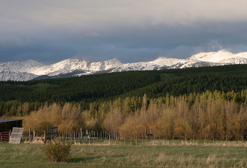 Snow-capped mountains sit beneath a stormy sky with evergreen trees nestled up against them. In the foreground, trees losing their leaves sit in a field.