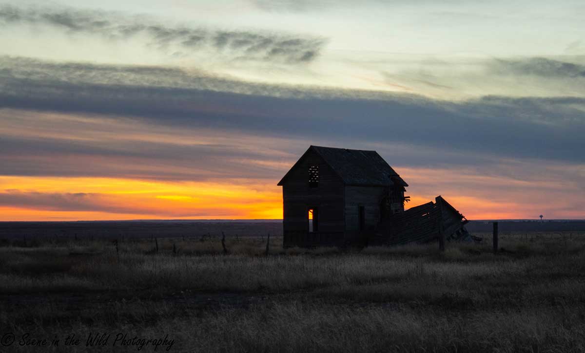 Sunset on the prairie (Photo courtesy Sue Keefer/Scene in the Wild Photography)