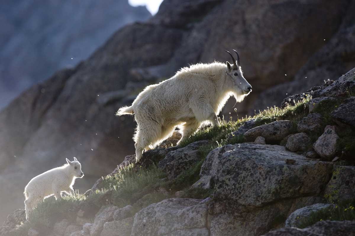 Idaho Springs, Georgetown, Central City & Blackhawk | Colorado.com
