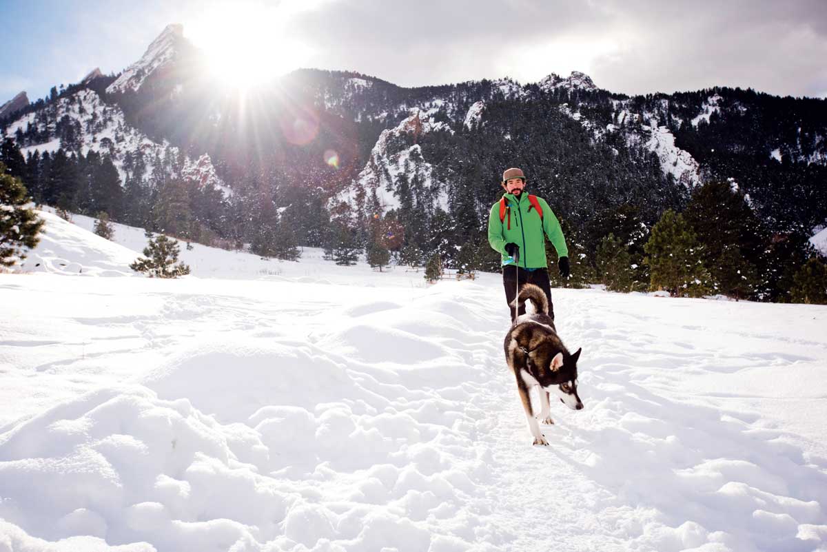 Plan A Colorado Vacation With Your Dog