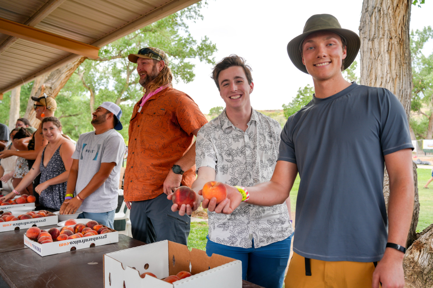 palisade peach festival photo