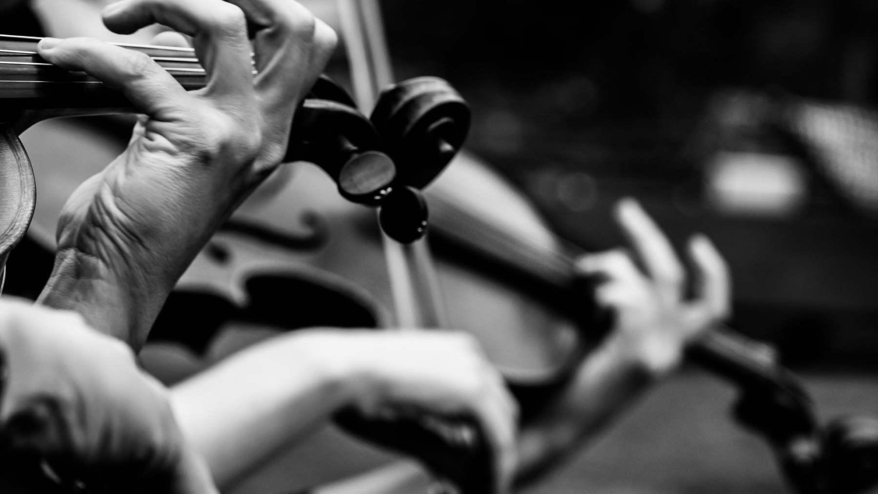 dallas symphony orchestra: disco divas photo