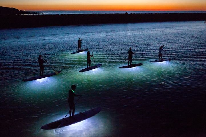 tiki under the moonlight: a full moon paddle experience photo