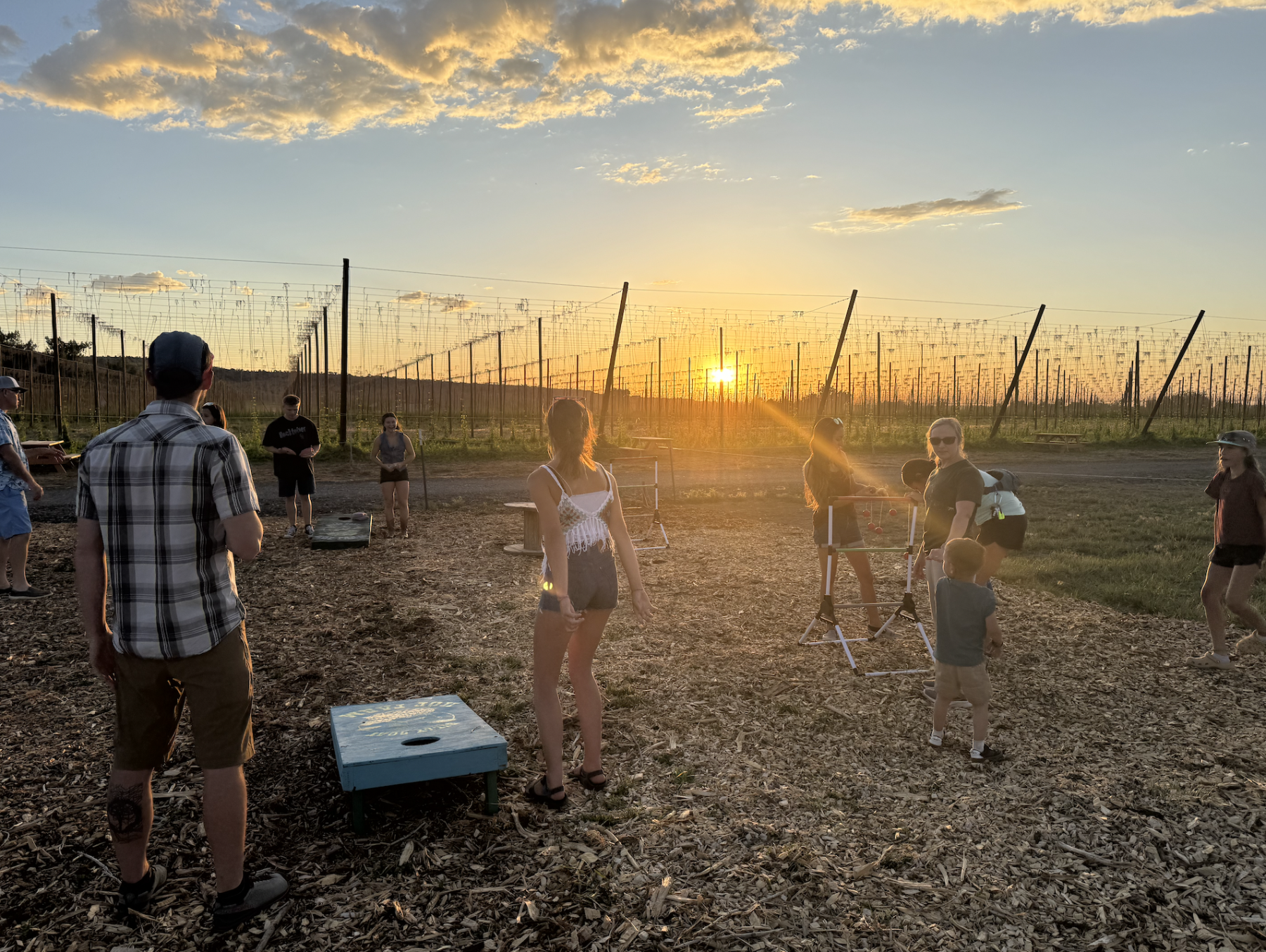 fridays on the farm photo