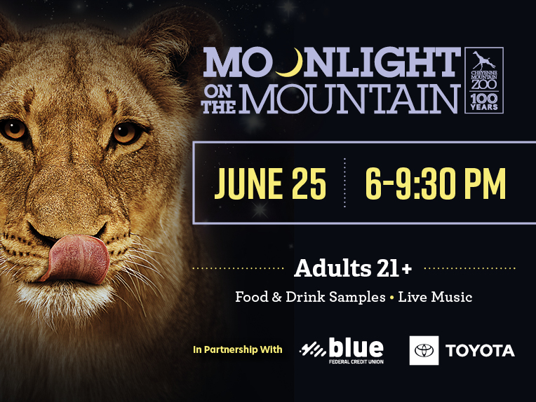moonlight on the mountain photo