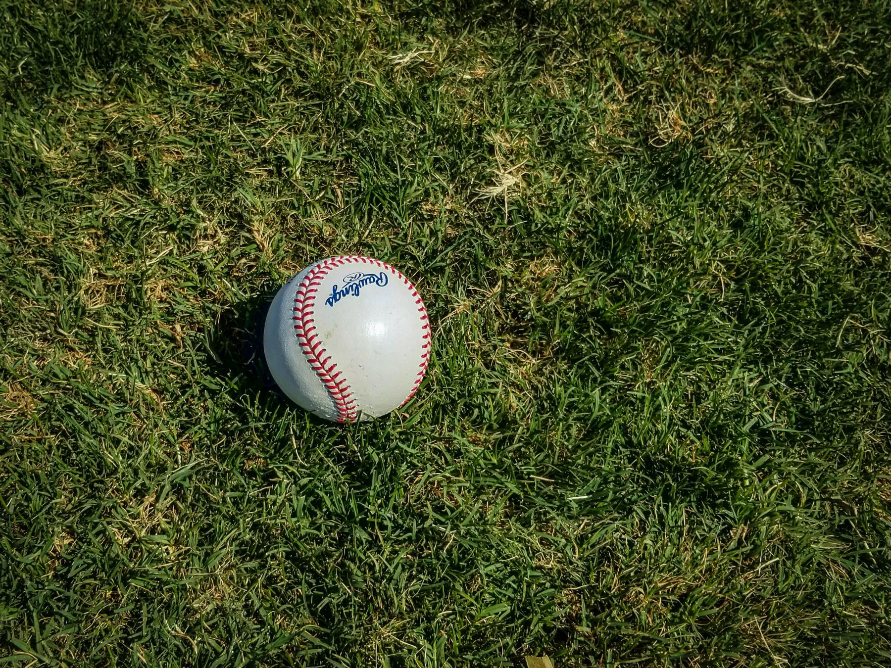 telluride baseball festival photo