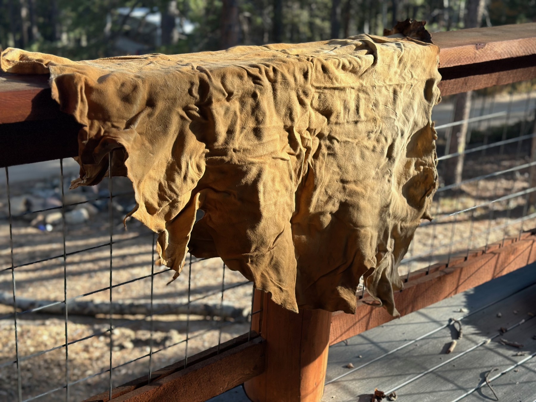 leather: traditional buckskin braintanning photo