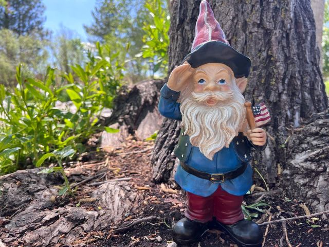 gnome scavenger hunt photo