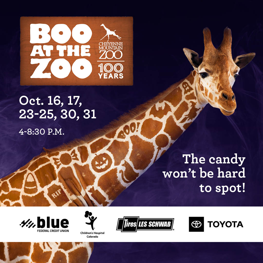 boo at the zoo photo