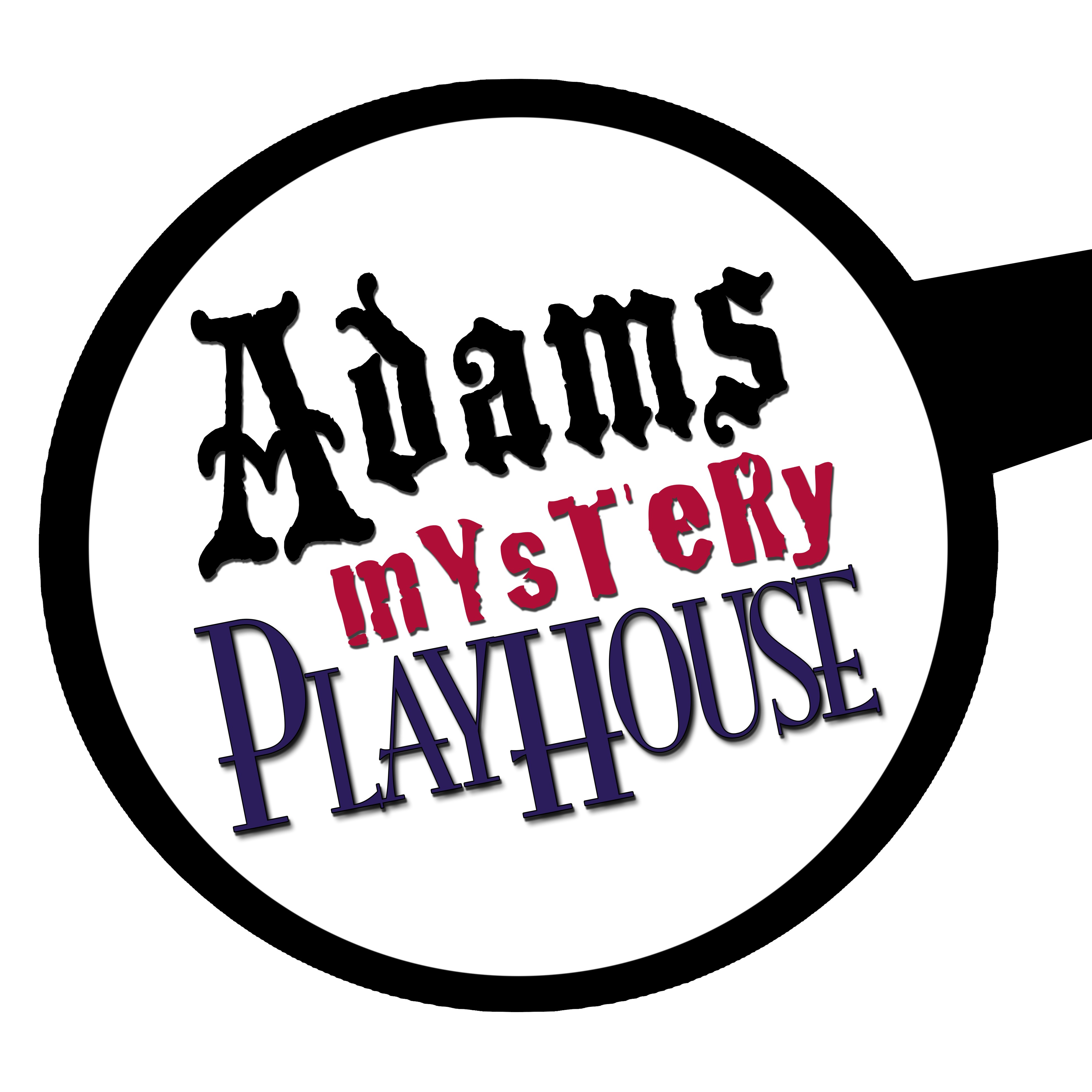 murder mystery dinner theater photo