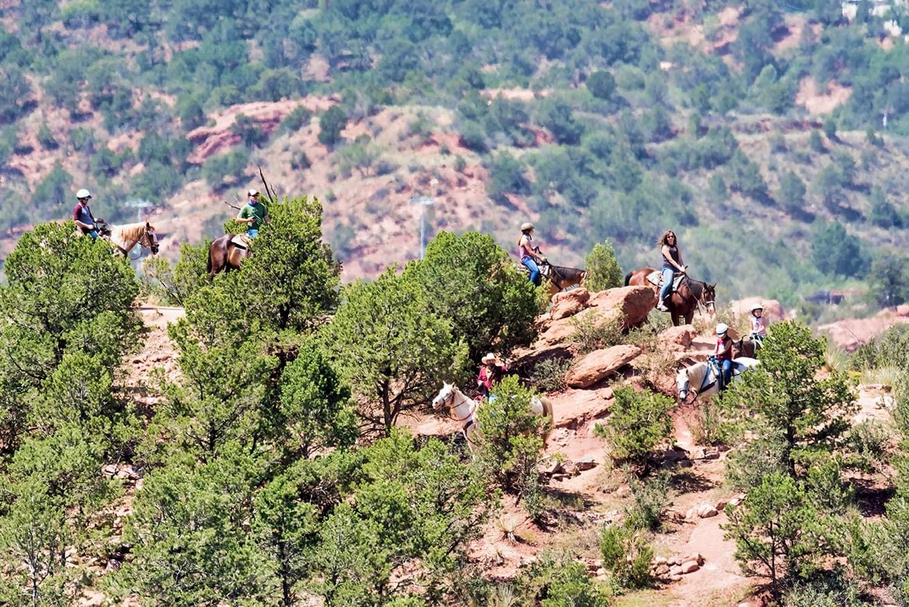 Academy sales riding stables