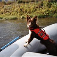 colorado river runs photo
