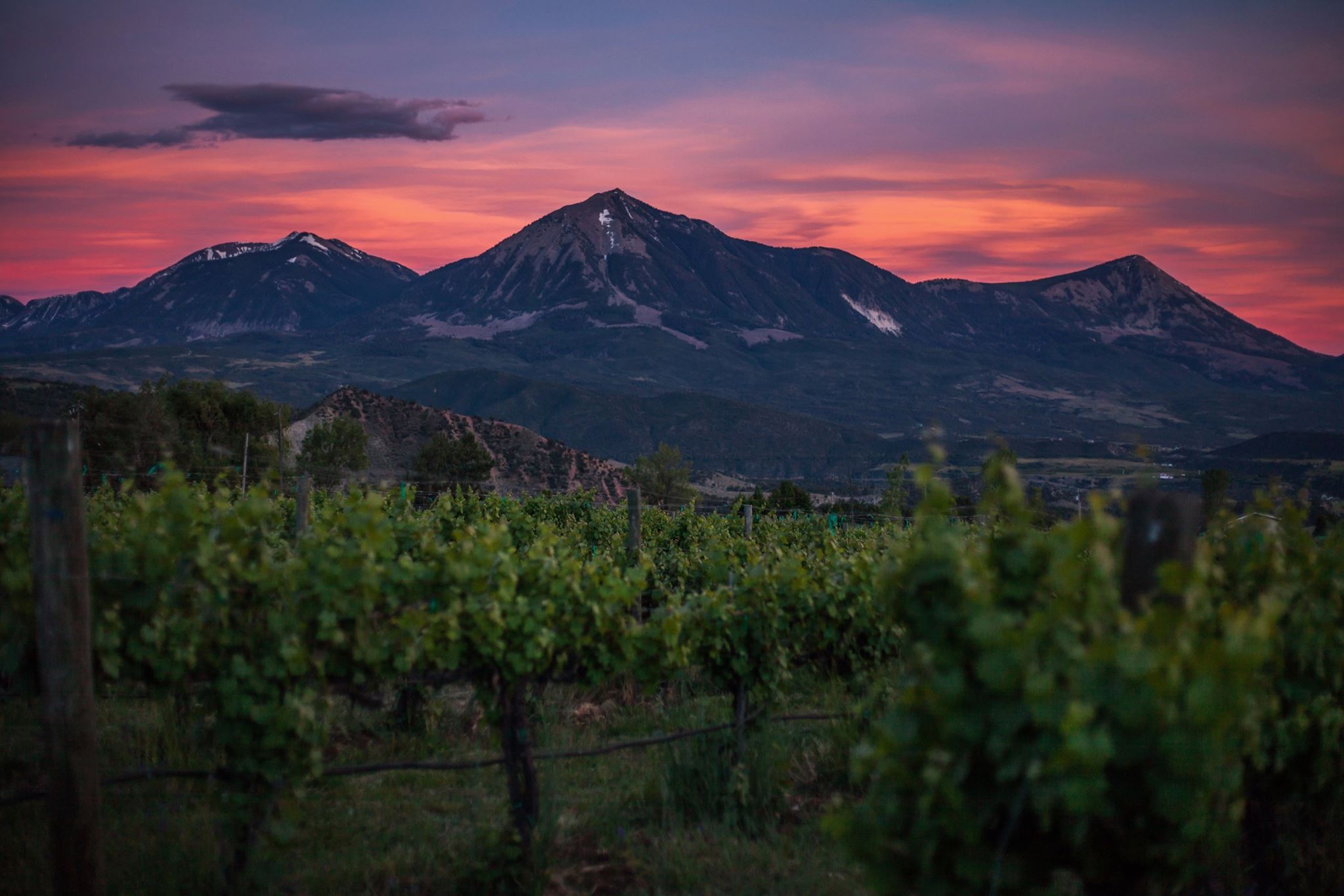 stone cottage cellars in paonia photo