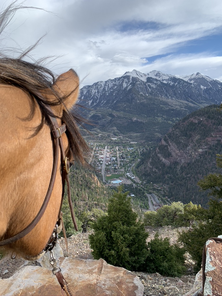 gold mountain horseback adventures photo