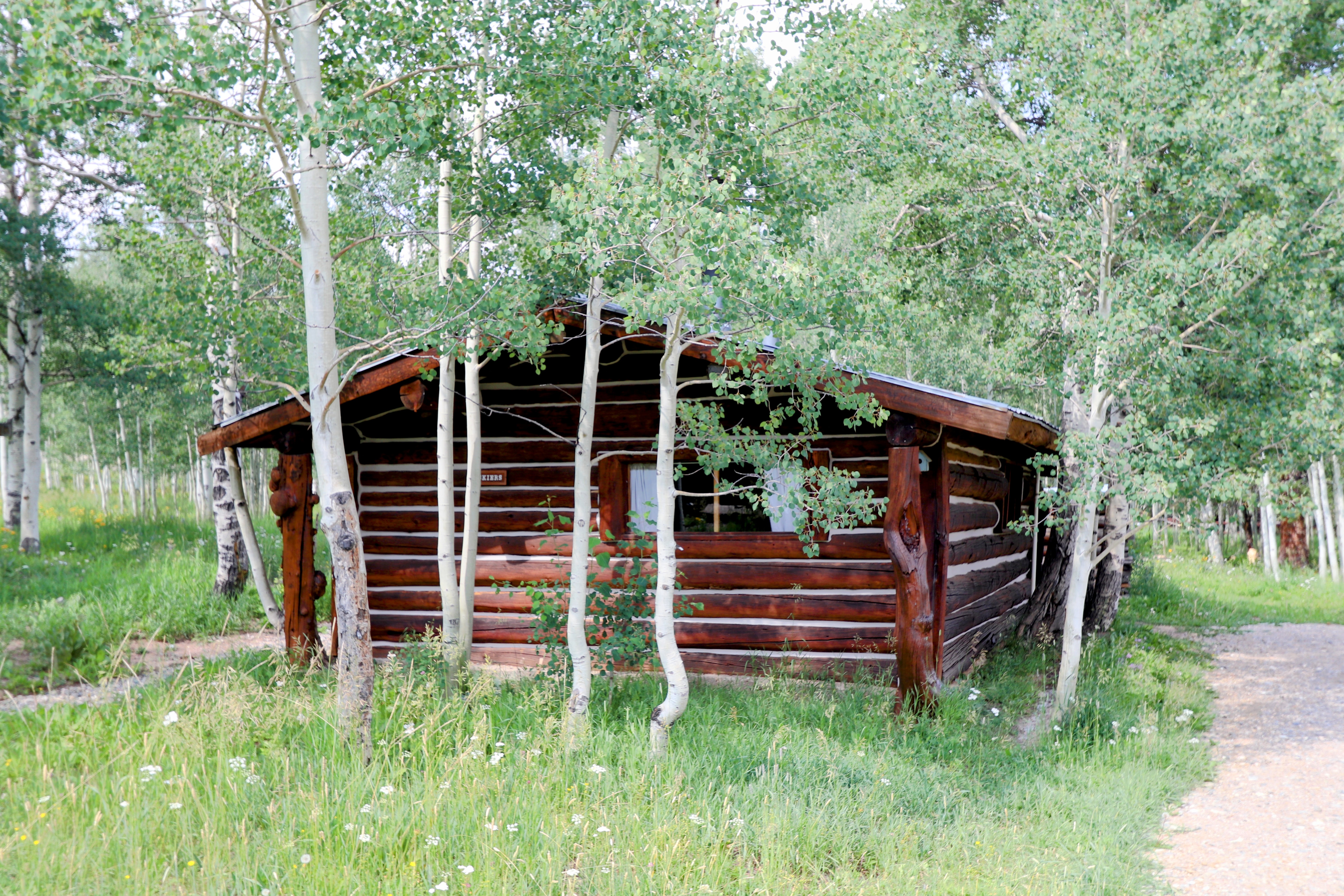 one of our  14 historic cabins photo