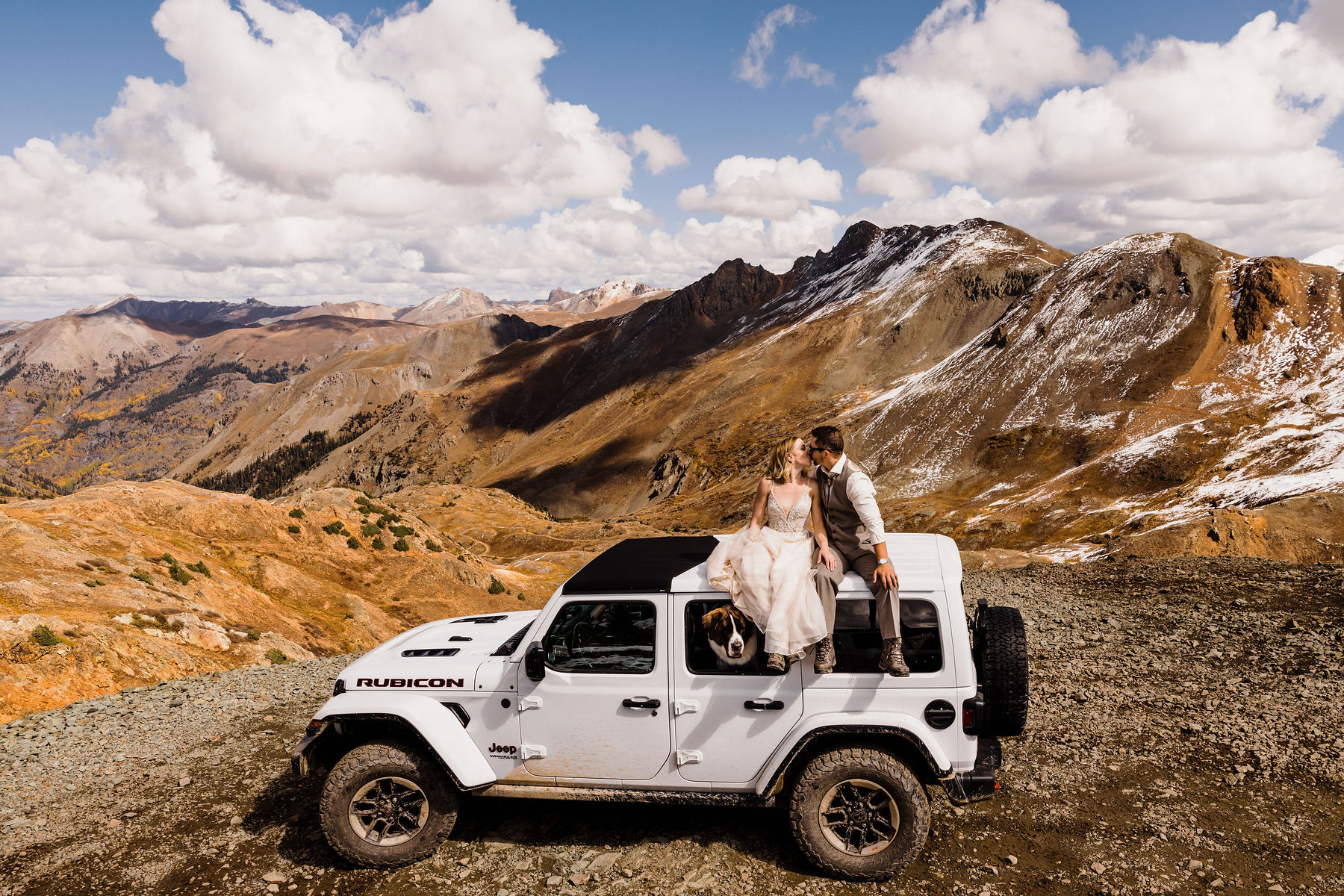 vow of the wild photo