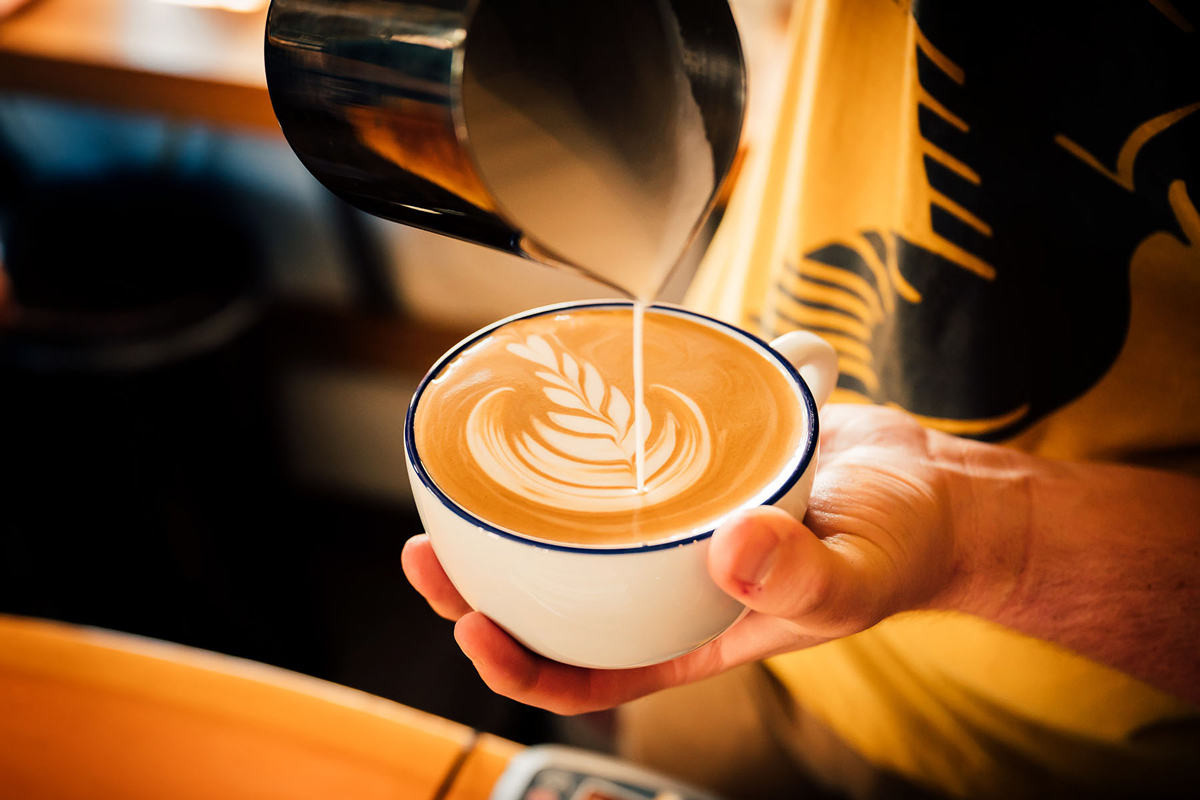 peregrine coffee roasters photo