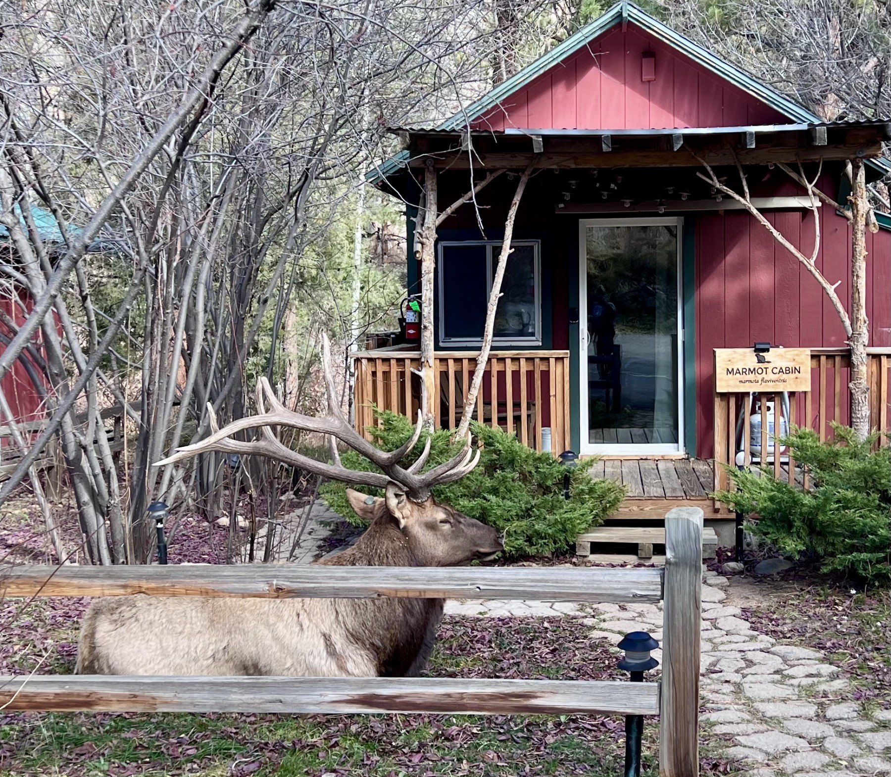 the woolly bugger inn photo