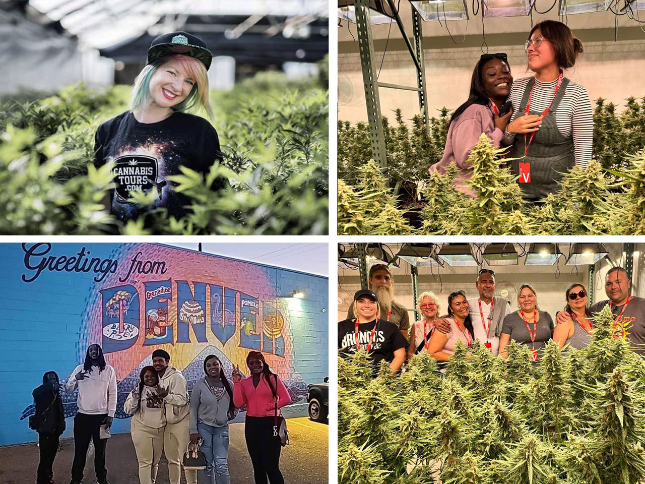 colorado cannabis tours photo