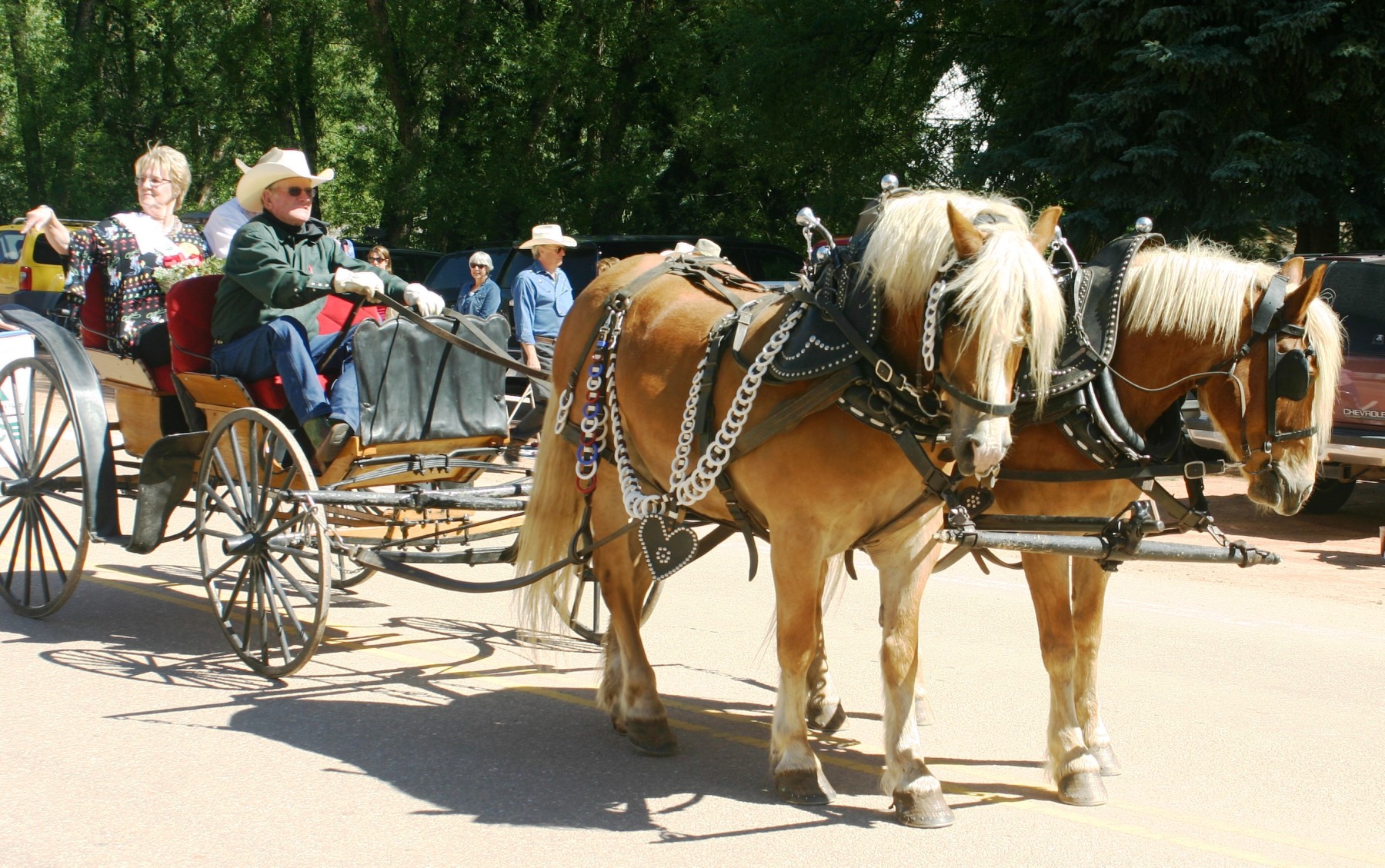 bronc day festival photo