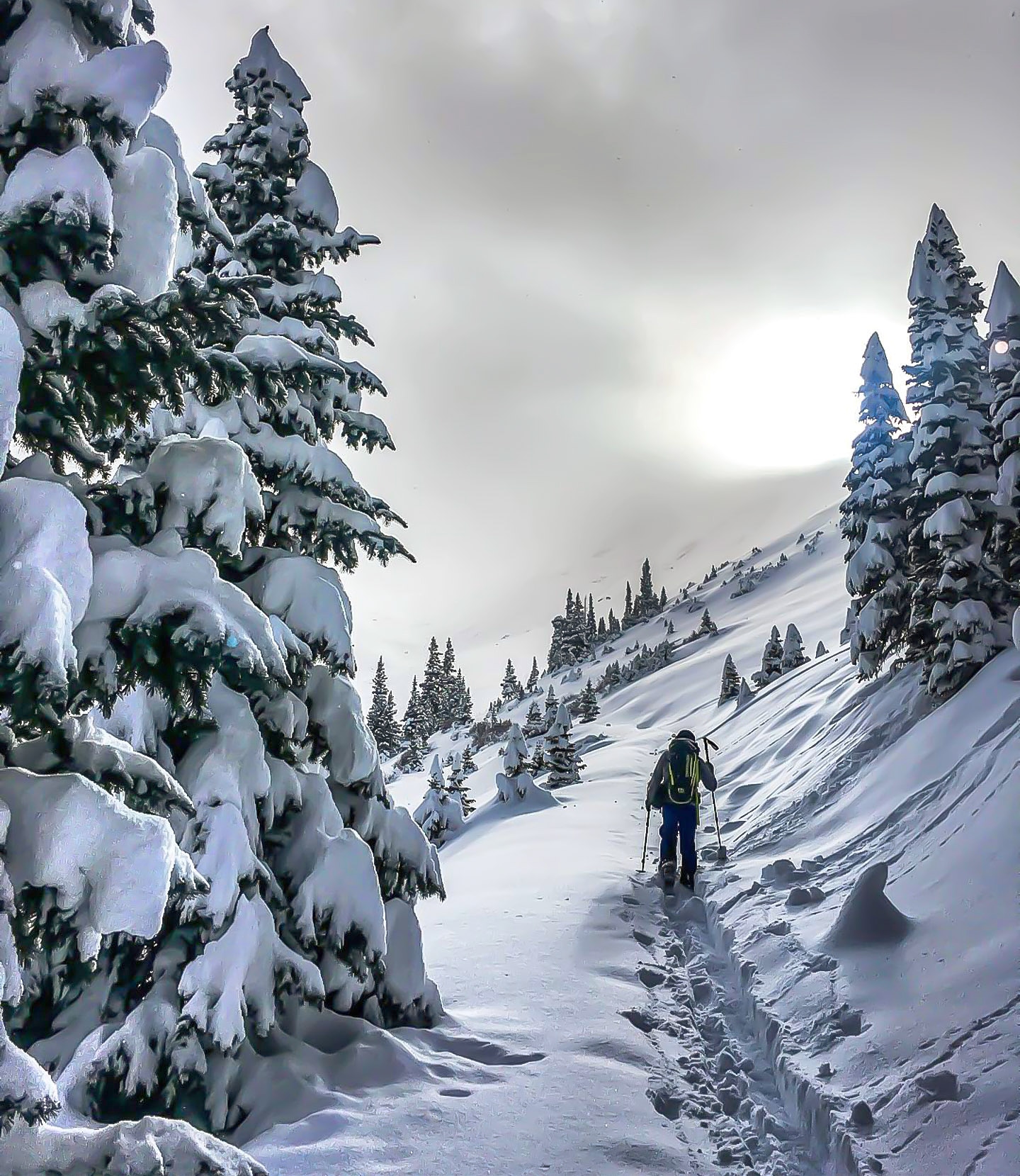 colorado adventure guides photo 3