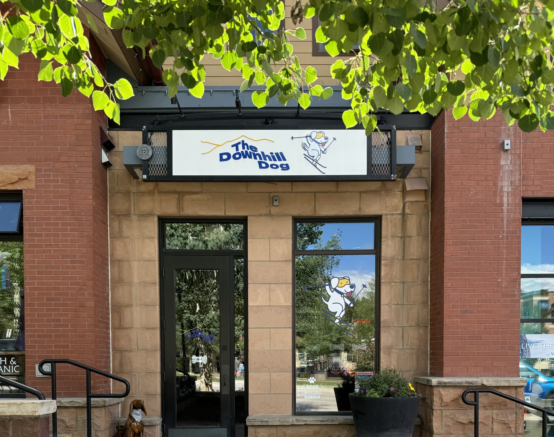 the downhill dog photo