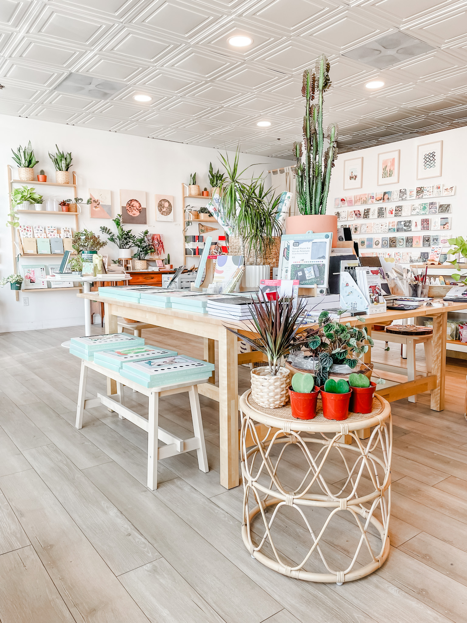 antiquaria mercantile photo