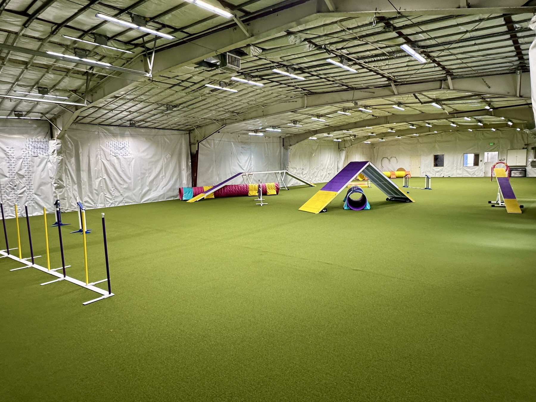 canine athletics training center photo