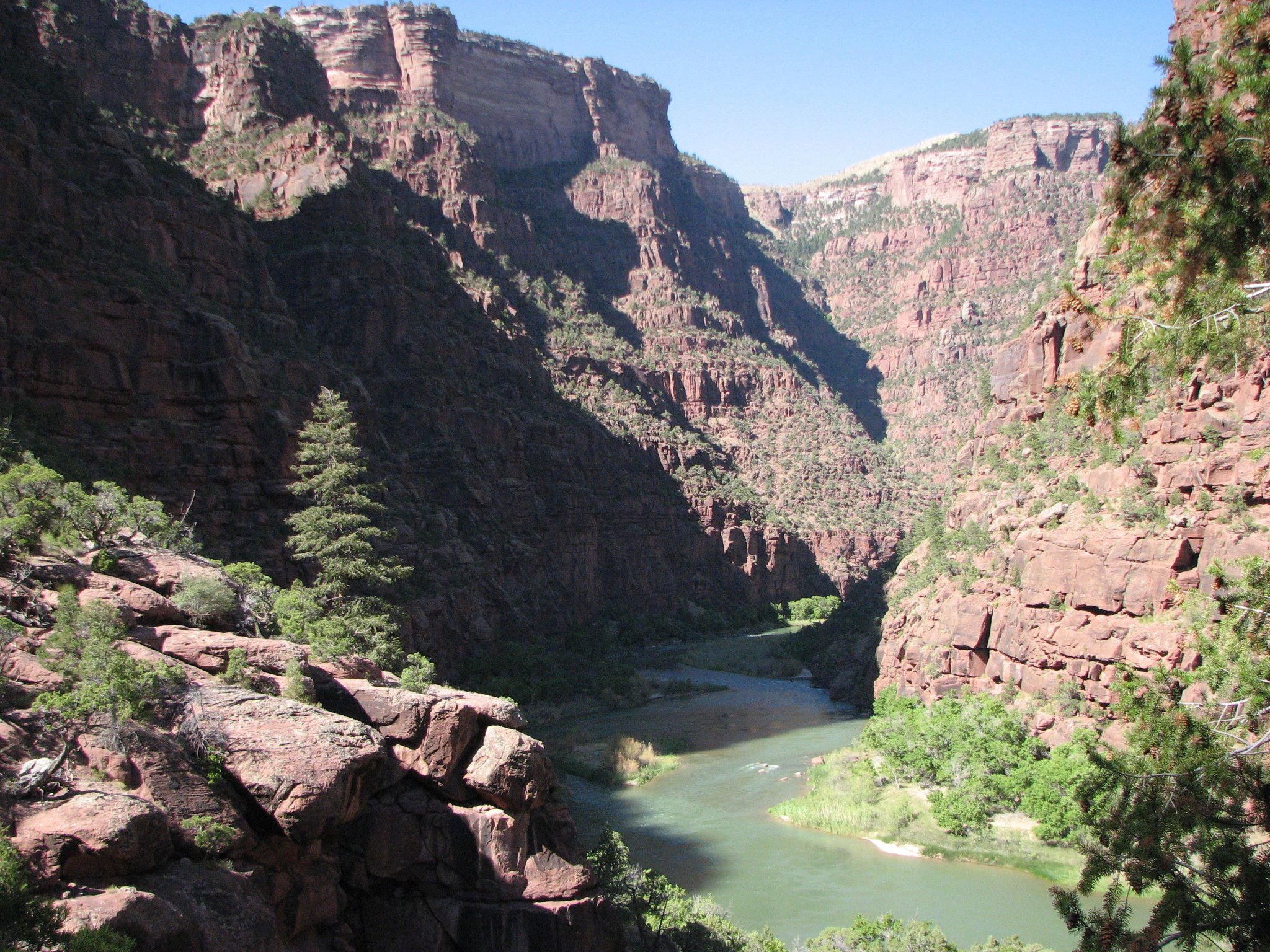 come visit our friendly staff photo