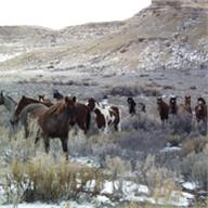 sand wash basin, blm photo