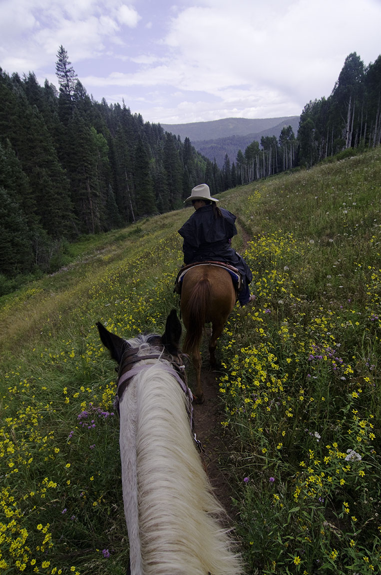 trail ride along the beautiful rio lado creek photo