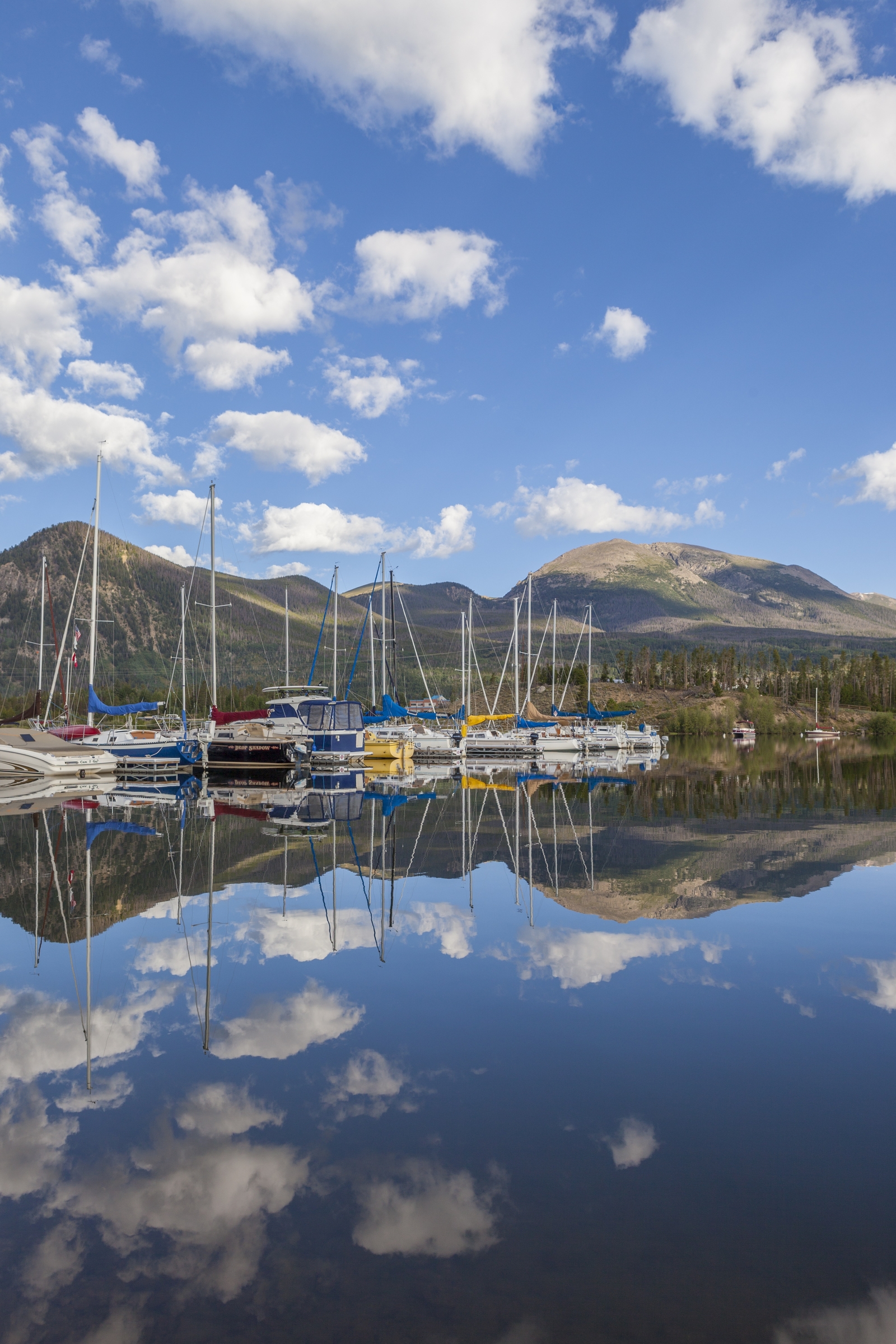 frisco bay marina photo