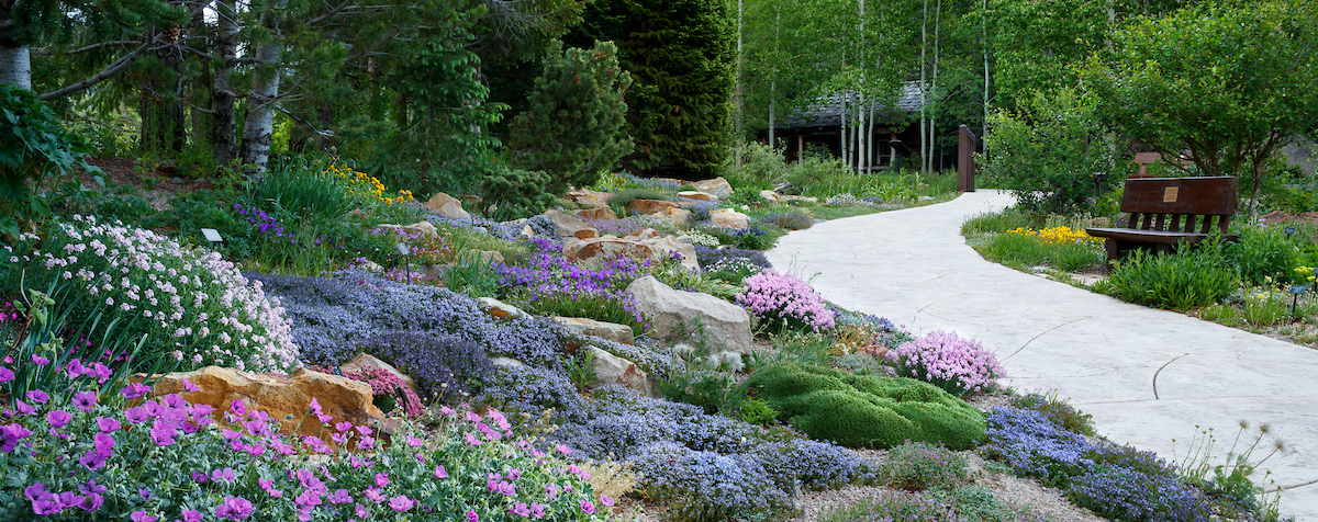 betty ford alpine gardens in spring photo