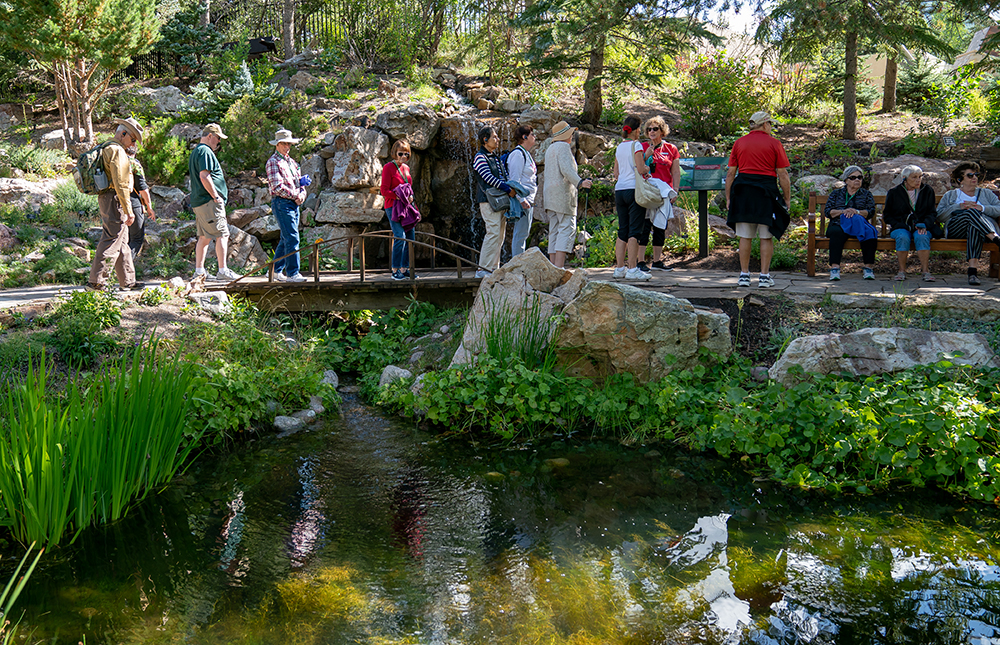 betty ford alpine gardens tours available during summer season photo 2