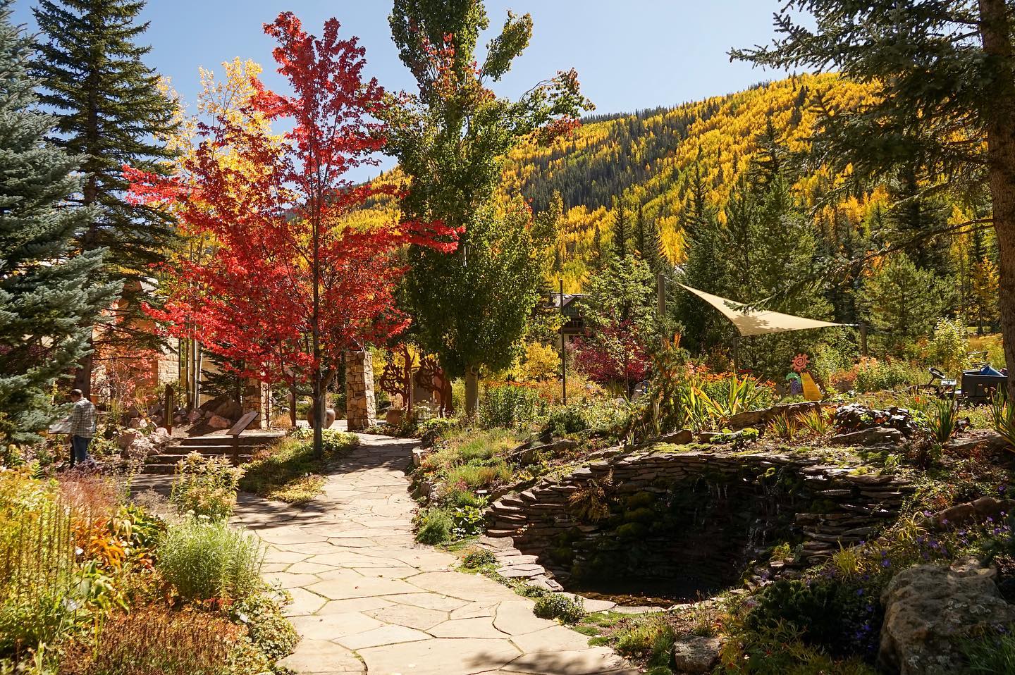 betty ford alpine gardens walk in fall photo 9