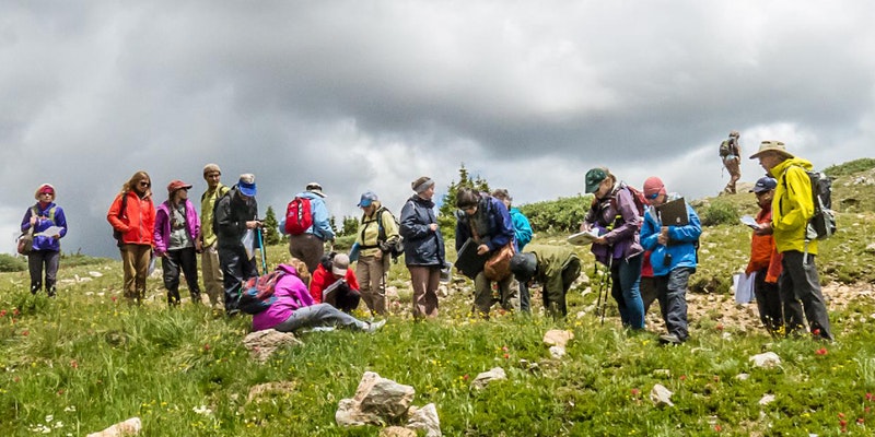 plant identification hike with betty ford alpine gardens photo 10