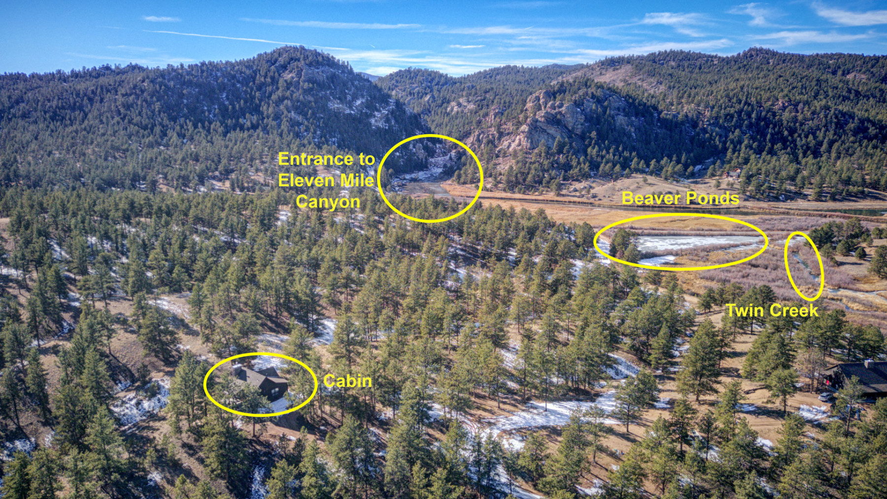 fallen tree lodge photo