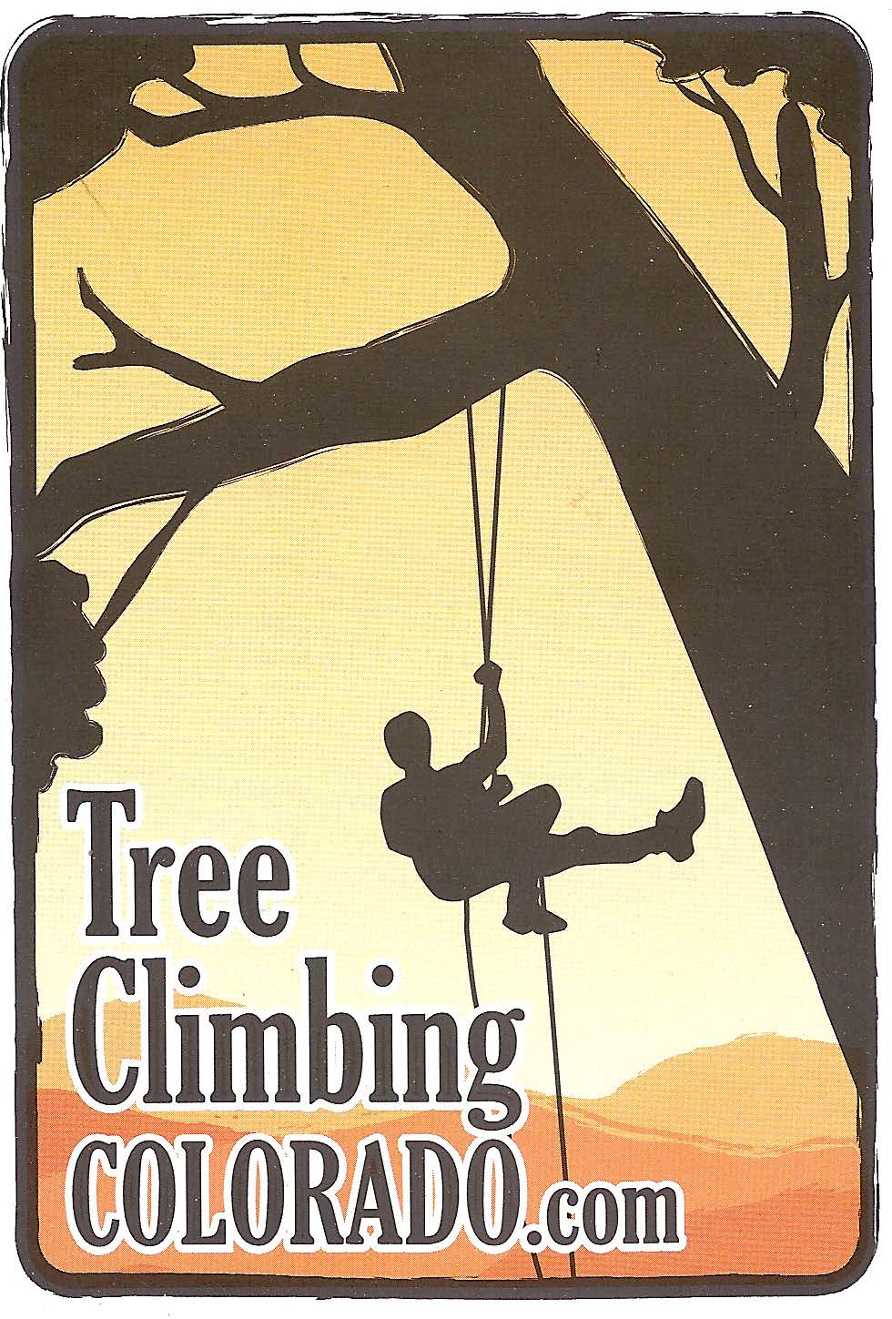 tree climbing colorado photo