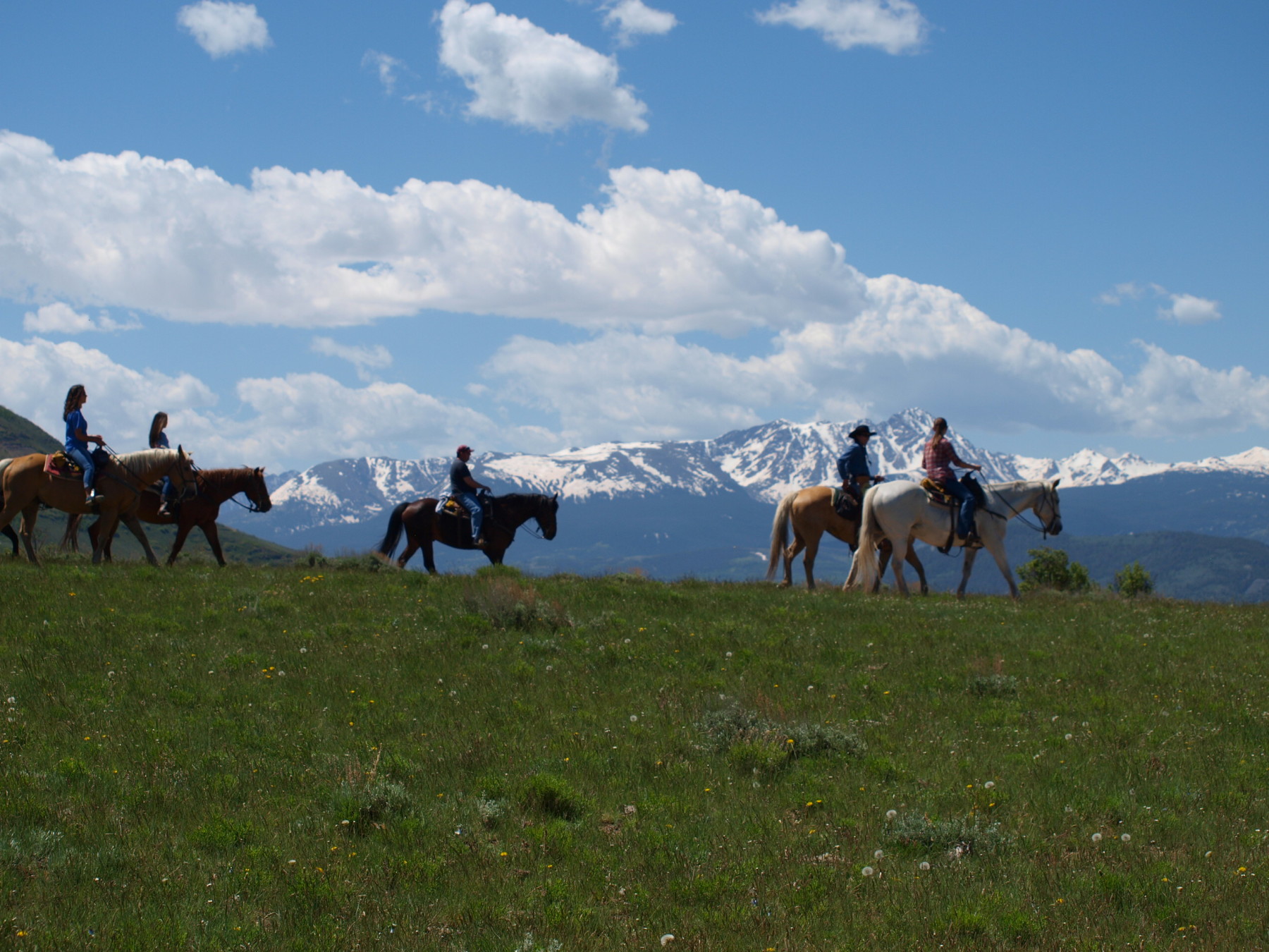dude ranches, cattle drives, trail rides and chuckwagon bbq's photo