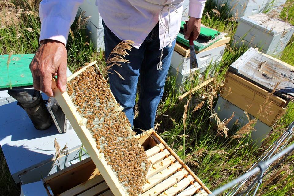 honeyville in durango photo