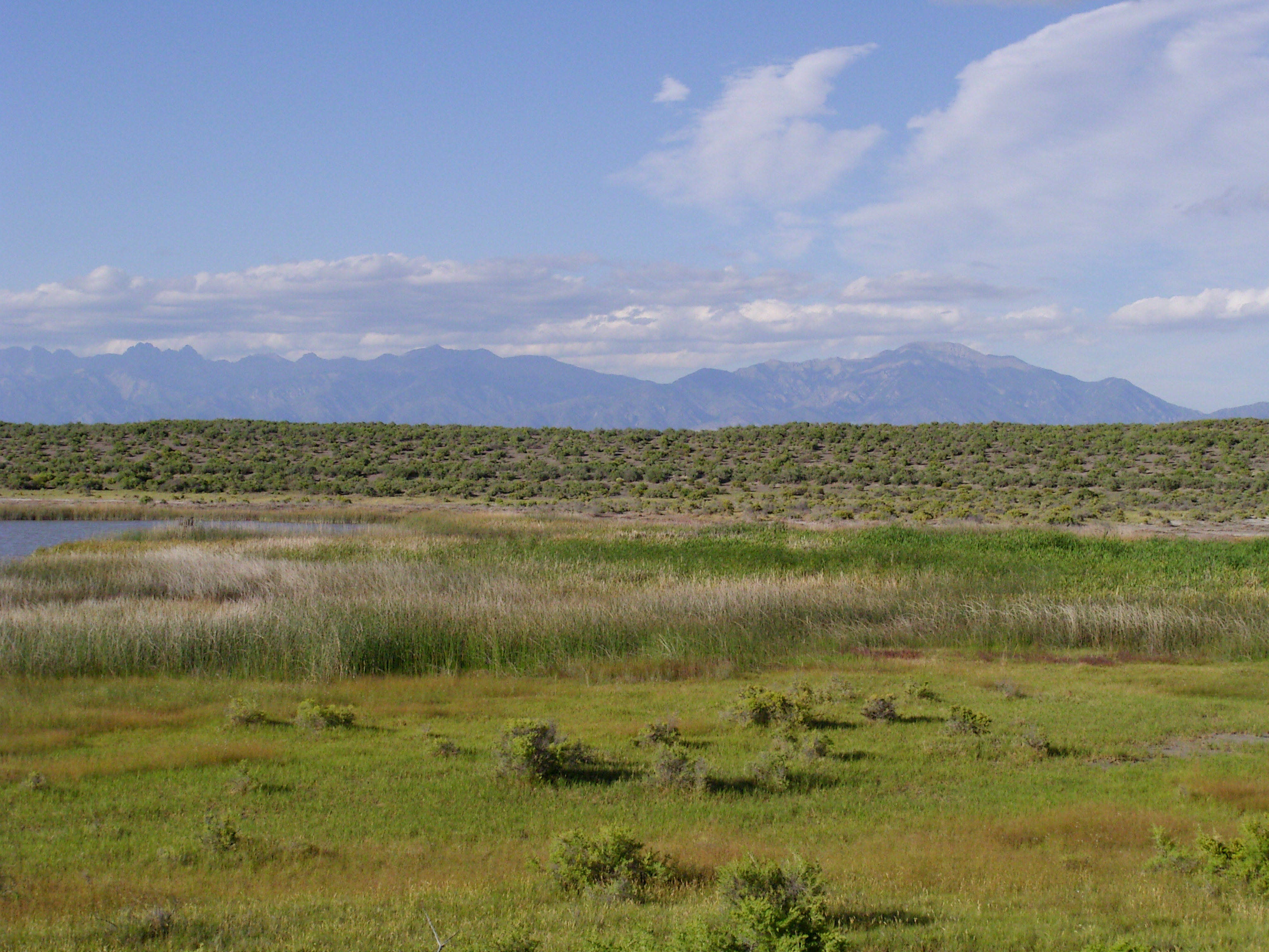 blanca wildlife habitat area (blanca wetlands) photo