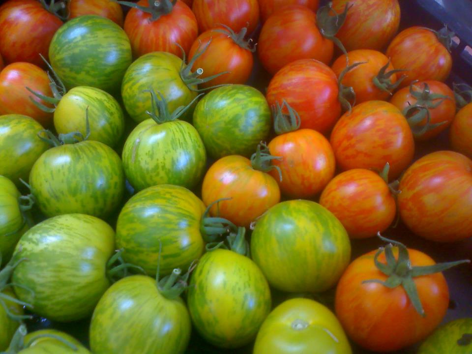 boulder tuv ha'aretz photo