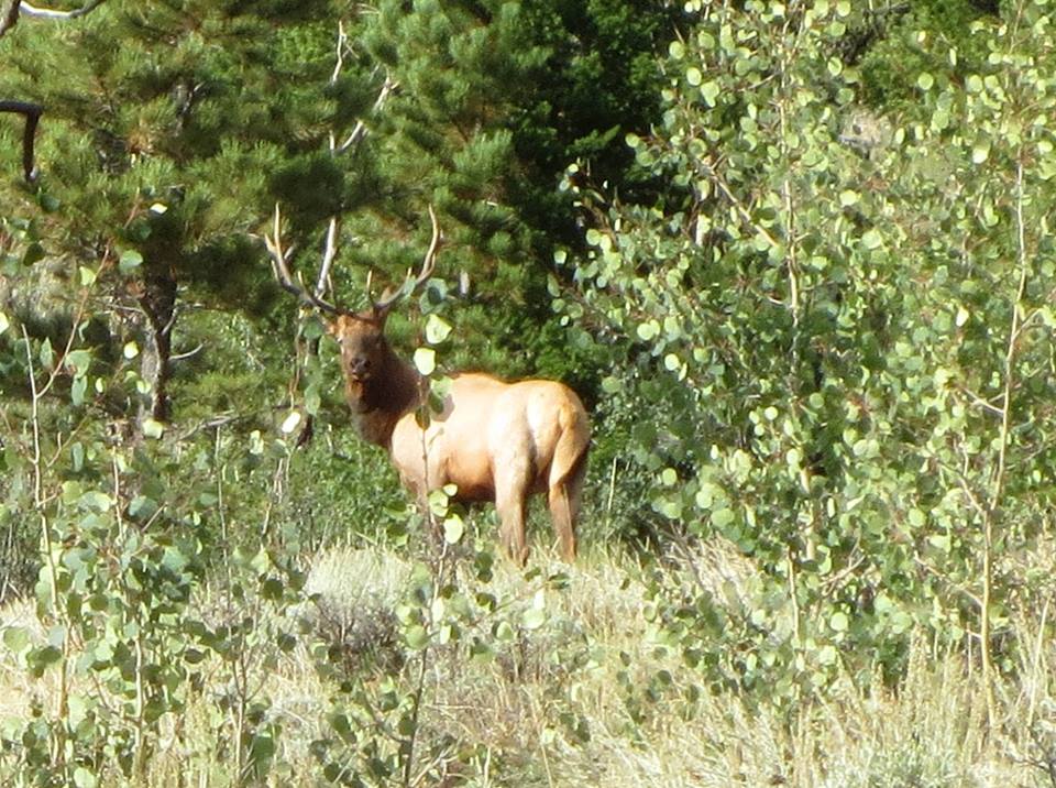 coberly creek outfitters photo
