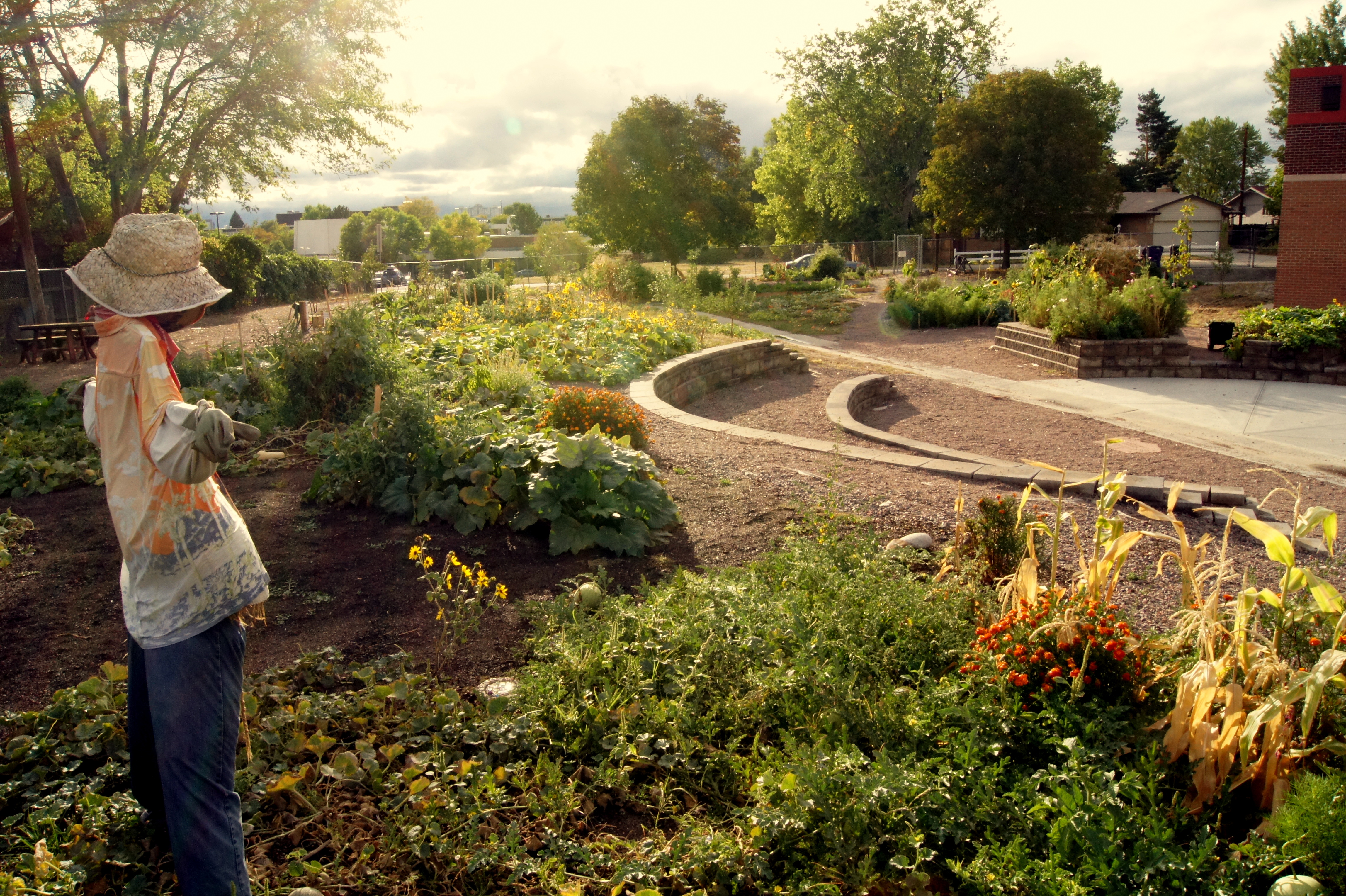 denver green school community garden photo