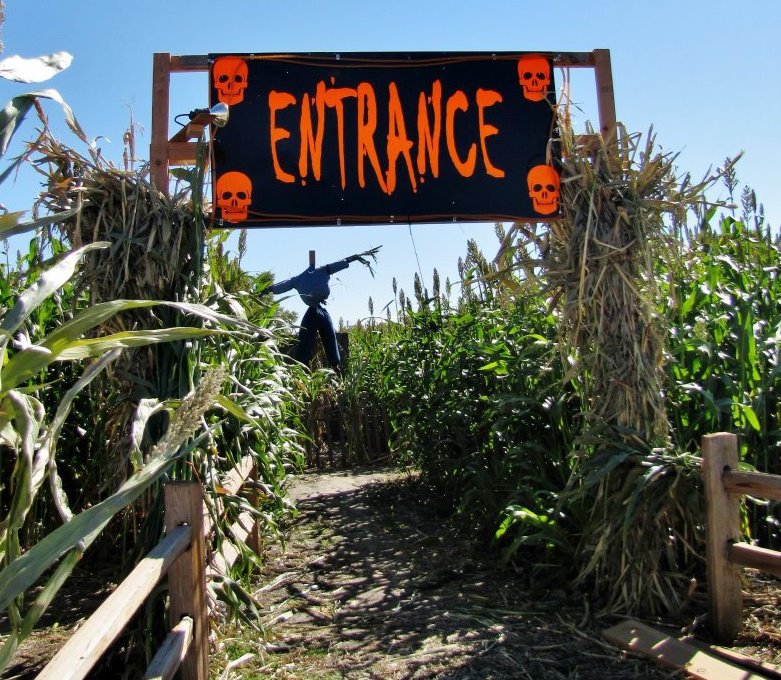 flat acre farms photo